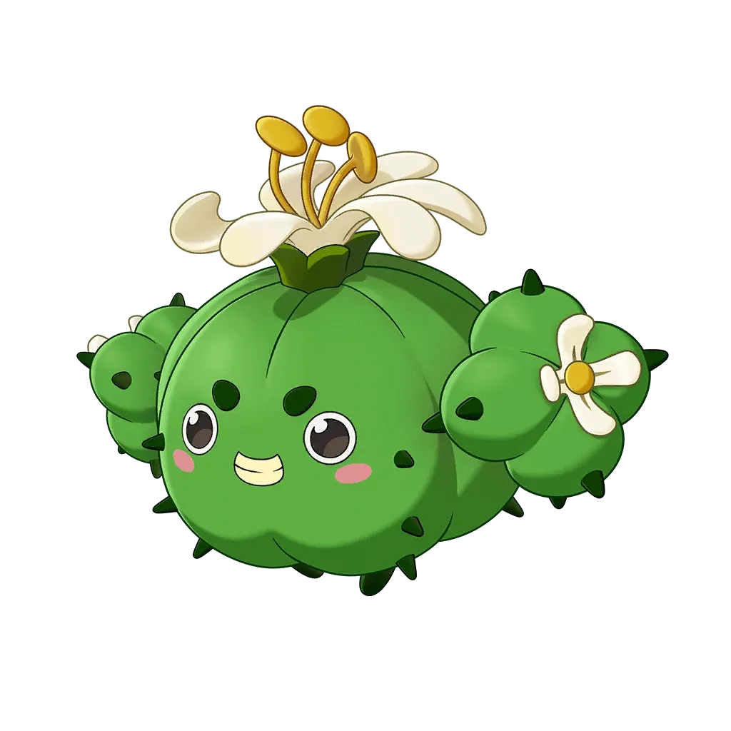 蹦蹦草(象牙球形态)