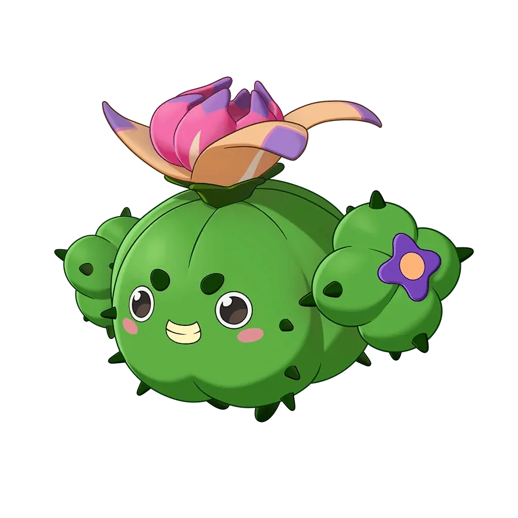 蹦蹦草(彩玉球形态)